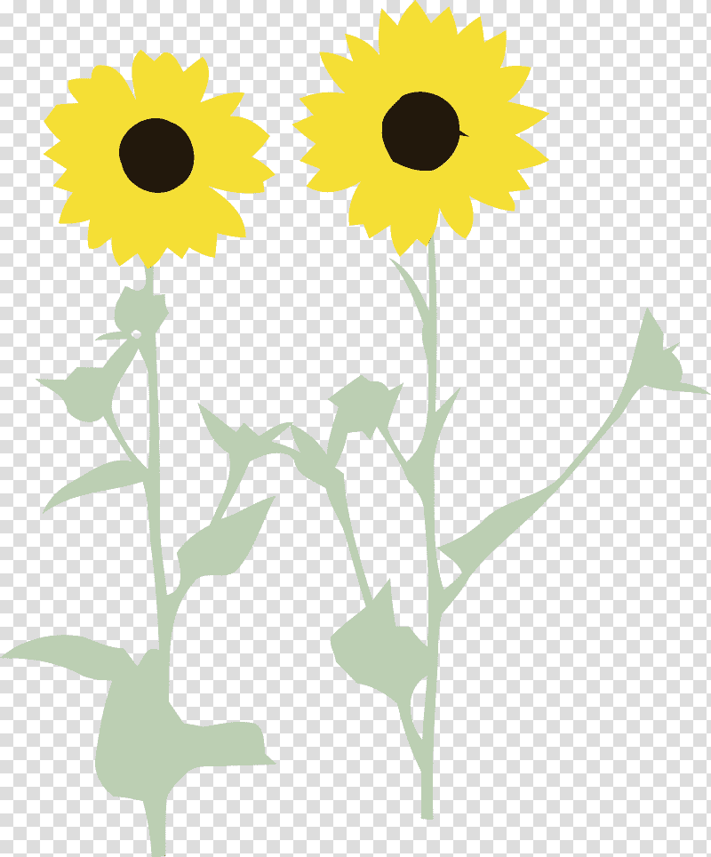 Floral design, yellow sun with green leaves illustration, Watercolor, Paint, Wet Ink, Daisy Family, Plant Stem, Flower transparent background PNG clipart