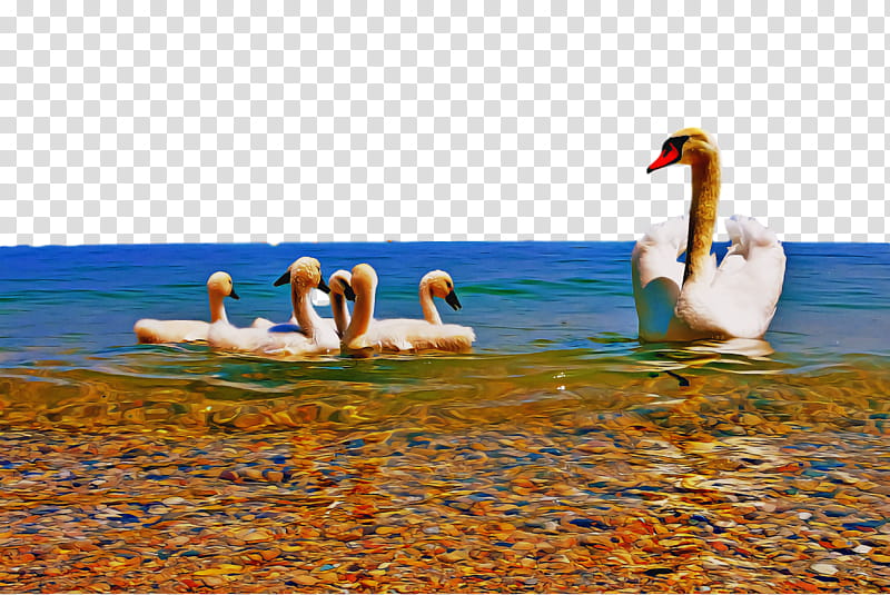 swans vacation national lampoon's vacation, National Lampoons Vacation transparent background PNG clipart