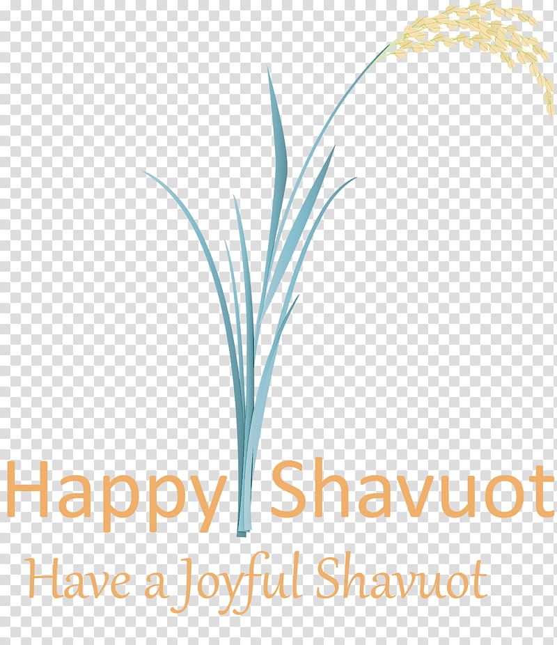 Happy Shavuot Shavuot Shovuos, Text, Line, Grass Family, Logo, Plant transparent background PNG clipart