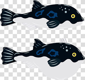 cobalt blue fish cobalt biology science transparent background PNG clipart thumbnail