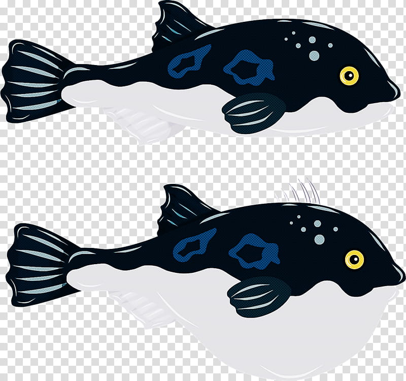 cobalt blue fish cobalt biology science transparent background PNG clipart