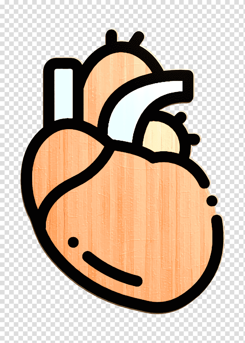 Heart icon Cardiovascular icon Biology icon, Cardiology, Orthopaedics, Medicine, Cardiovascular Disease, Therapy, Internal Medicine transparent background PNG clipart