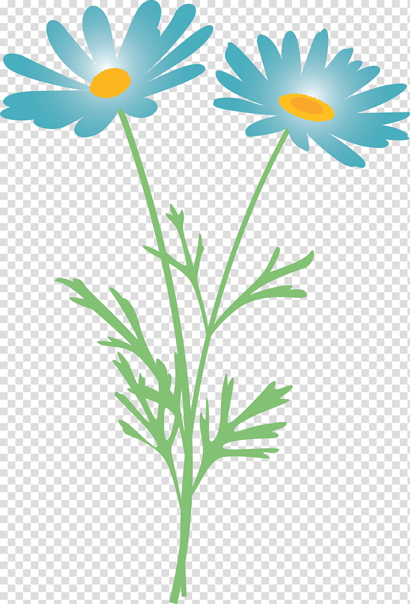 marguerite flower spring flower, Mayweed, Oxeye Daisy, Chamomile, Camomile, Marguerite Daisy, Plant, Pedicel transparent background PNG clipart