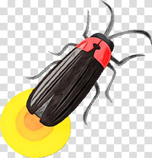 insect beetle pest blister beetles cockroach, Watercolor, Paint, Wet Ink, Darkling Beetles transparent background PNG clipart thumbnail