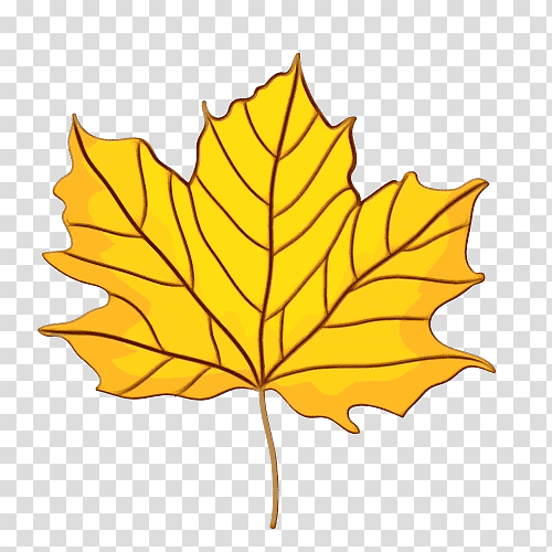 leaf maple leaf / m tree flower plant, Watercolor, Paint, Wet Ink, Maple Leaf M, Plant Structure, Science transparent background PNG clipart