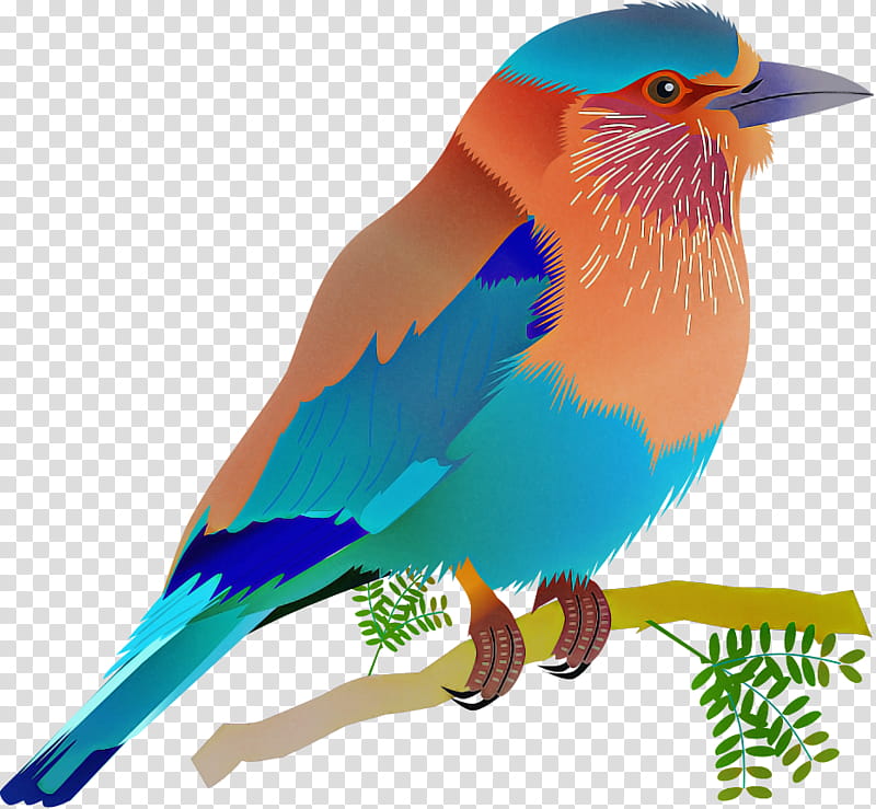 bird beak eastern bluebird bluebird roller, Painted Bunting, Songbird, Perching Bird, Coraciiformes transparent background PNG clipart