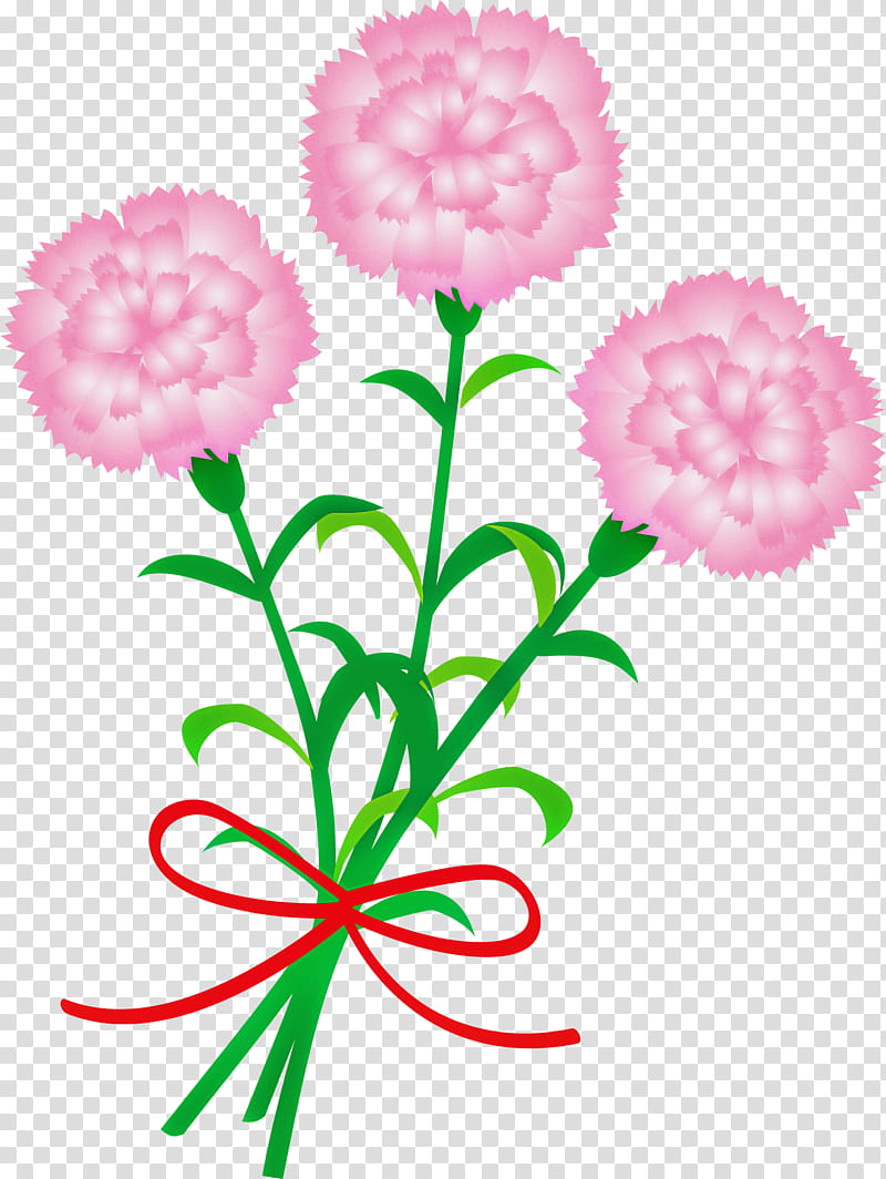 Mothers Day Carnation Mothers Day flower, Pink, Cut Flowers, Plant, Plant Stem, Pink Family, Petal, Tagetes transparent background PNG clipart
