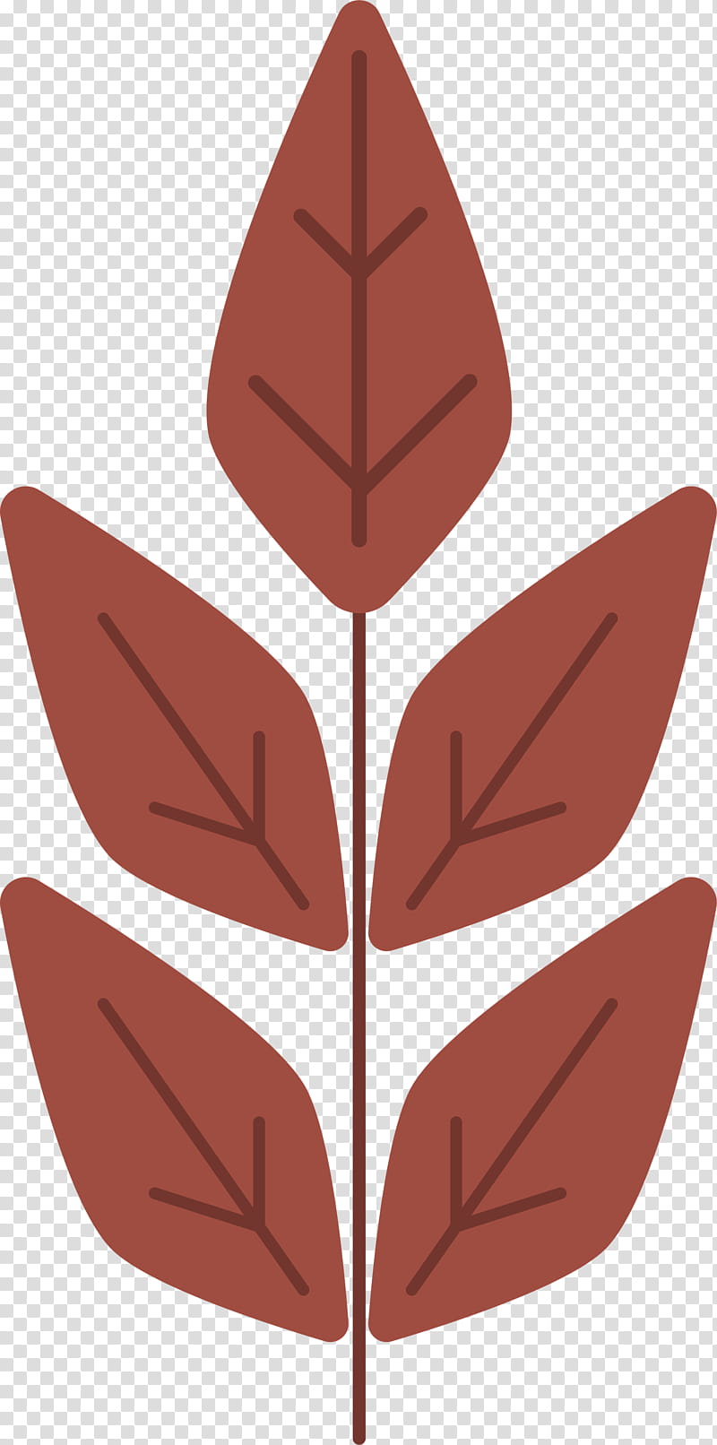 leaf flower pattern symmetry angle, Mtree, Plants, Science, Plant Structure, Biology transparent background PNG clipart