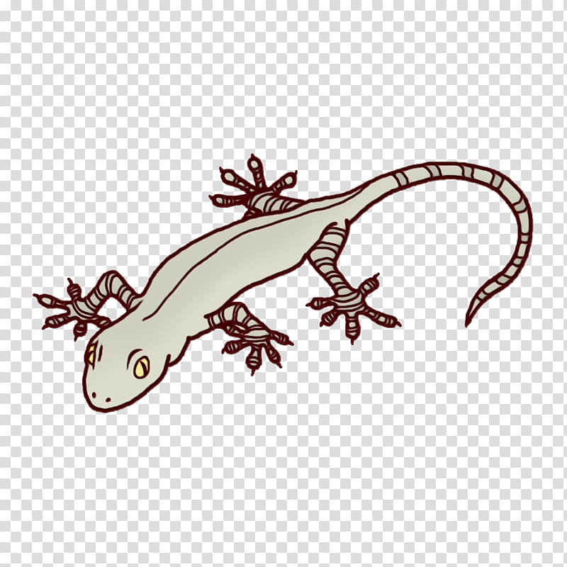 gecko lizard biology reptiles science, Watercolor, Paint, Wet Ink transparent background PNG clipart