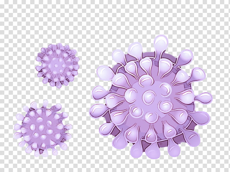 Coronavirus disease corona COVID19, Purple, Violet, Lilac, Lavender, Flower, Petal, Plant transparent background PNG clipart