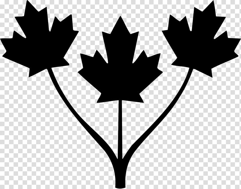 Canada Maple Leaf, Flag Of Canada, National Flag, Tree, Plant, Woody Plant, Blackandwhite, Plant Stem transparent background PNG clipart