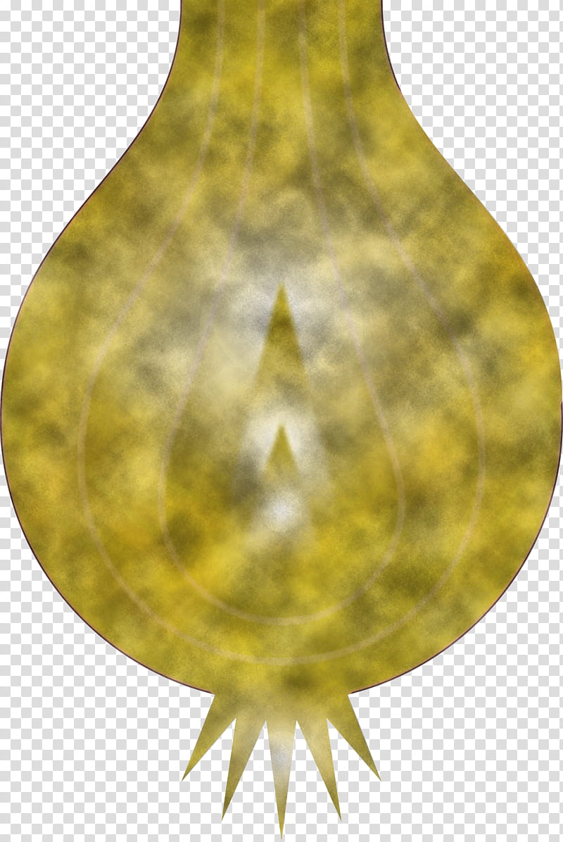 Onion, Yellow, Green, Leaf, Metal transparent background PNG clipart