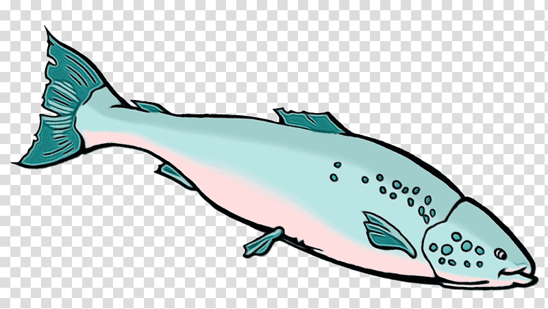 porpoises cetaceans whales squaliform sharks fish, Watercolor, Paint, Wet Ink, Animal Figurine, Biology transparent background PNG clipart