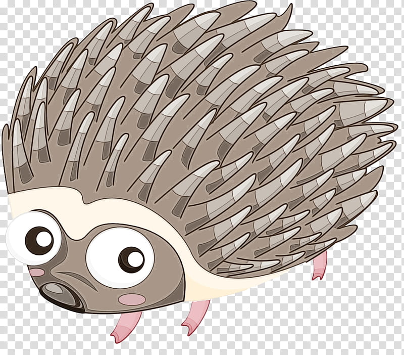 Animal, Hedgehog, Cartoon, Echidna, Porcupine, Drawing, Silhouette, Erinaceidae transparent background PNG clipart