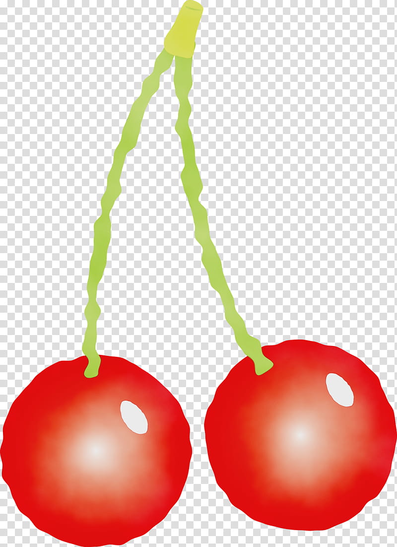 cherry fruit plant drupe, Watercolor, Paint, Wet Ink transparent background PNG clipart