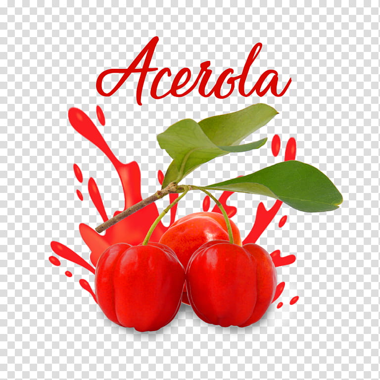 natural foods plant food fruit red, Acerola, Vegetable, Cherry, Flower, Superfruit, Acerola Family, Superfood transparent background PNG clipart