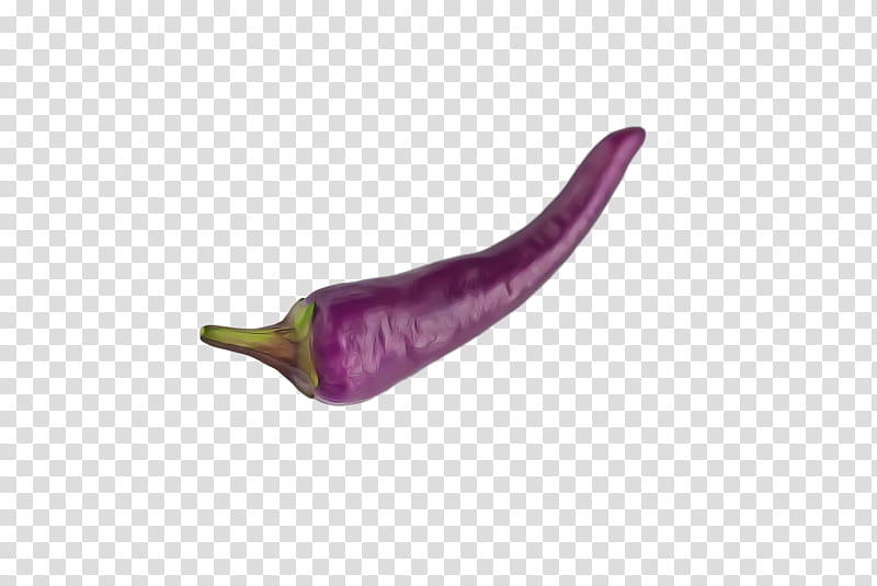 pasilla peppers purple transparent background PNG clipart