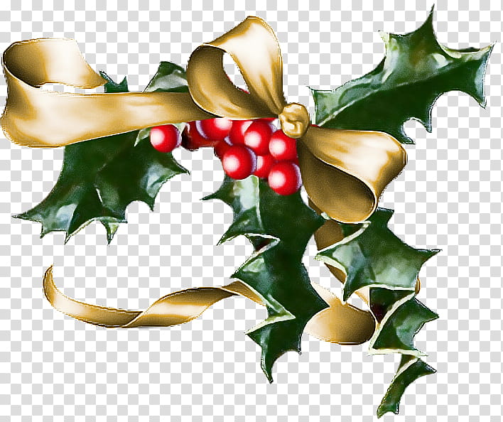 Holly, American Holly, Plant, Flower, Leaf, Tree, Plane, Hollyleaf Cherry transparent background PNG clipart