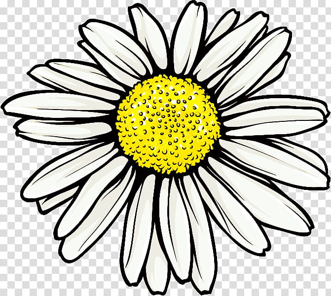 Marguerite gerbera daisy, Autumn Flower, Line Art, Halftone, Drawing ...