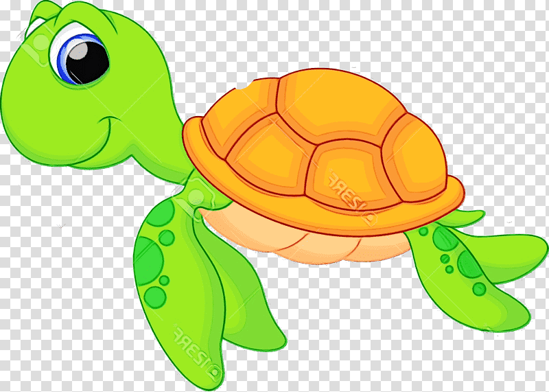 sea turtles tortoise m turtles cartoon yellow, Watercolor, Paint, Wet Ink, Reptiles, Science, Biology transparent background PNG clipart