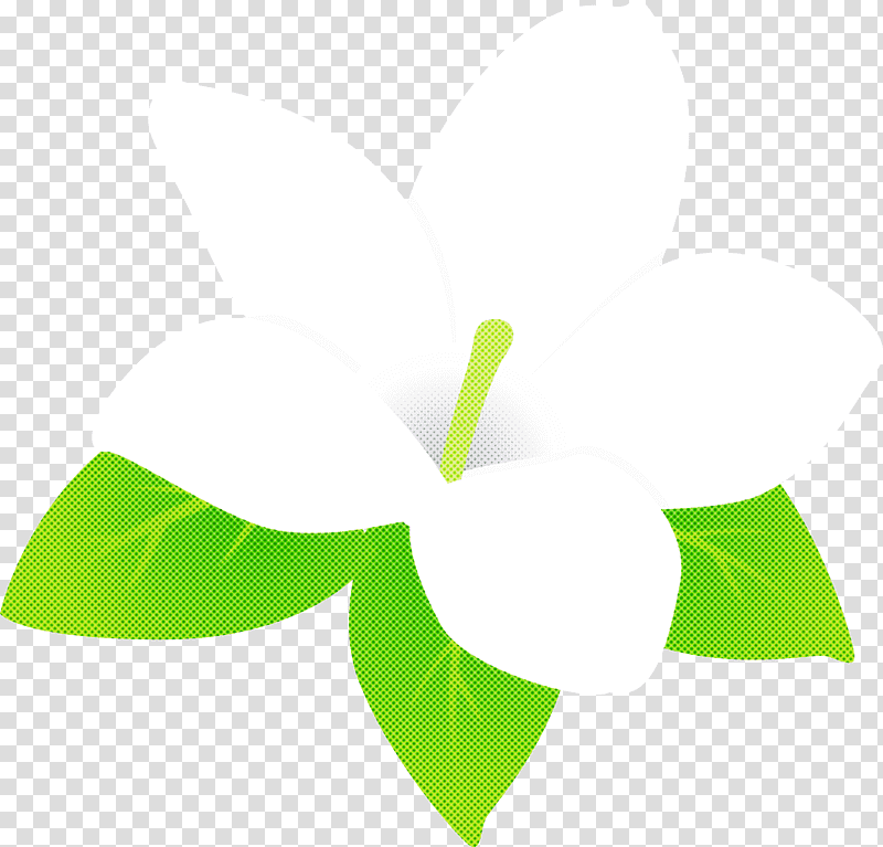 jasmine jasmine flower, Logo, Leaf, Green, Meter, Line, Plants transparent background PNG clipart