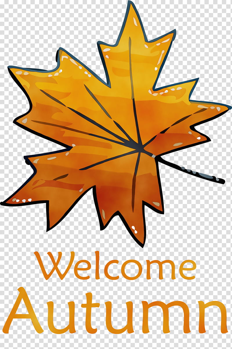 Maple leaf, Welcome Autumn, Watercolor, Paint, Wet Ink, Volvo Duett, AB Volvo, Volvo Cars transparent background PNG clipart