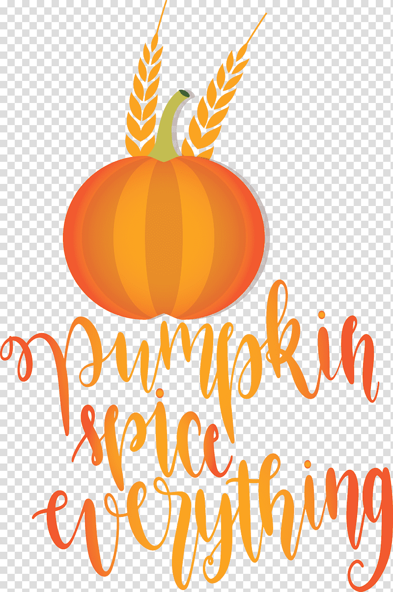 Pumpkin spice everything Pumpkin Thanksgiving, Autumn, Logo, Line, Meter, Flower, Fruit transparent background PNG clipart