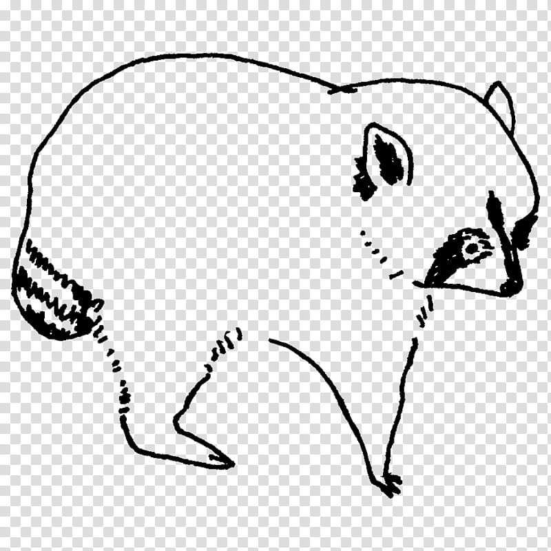 whiskers cat dog snout mad catz r.a.t. m, Mad Catz Rat M, Line, Tail, Point, Area, Science transparent background PNG clipart