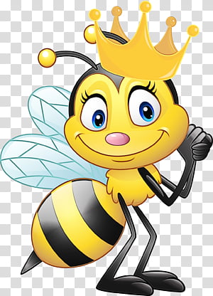 50+ Download Dr. Bee Images