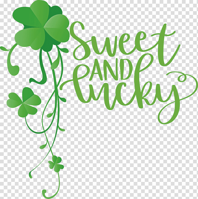 Sweet And Lucky St Patricks Day, Leaf, Plant Stem, Logo, Clover, Shamrock, Flower transparent background PNG clipart
