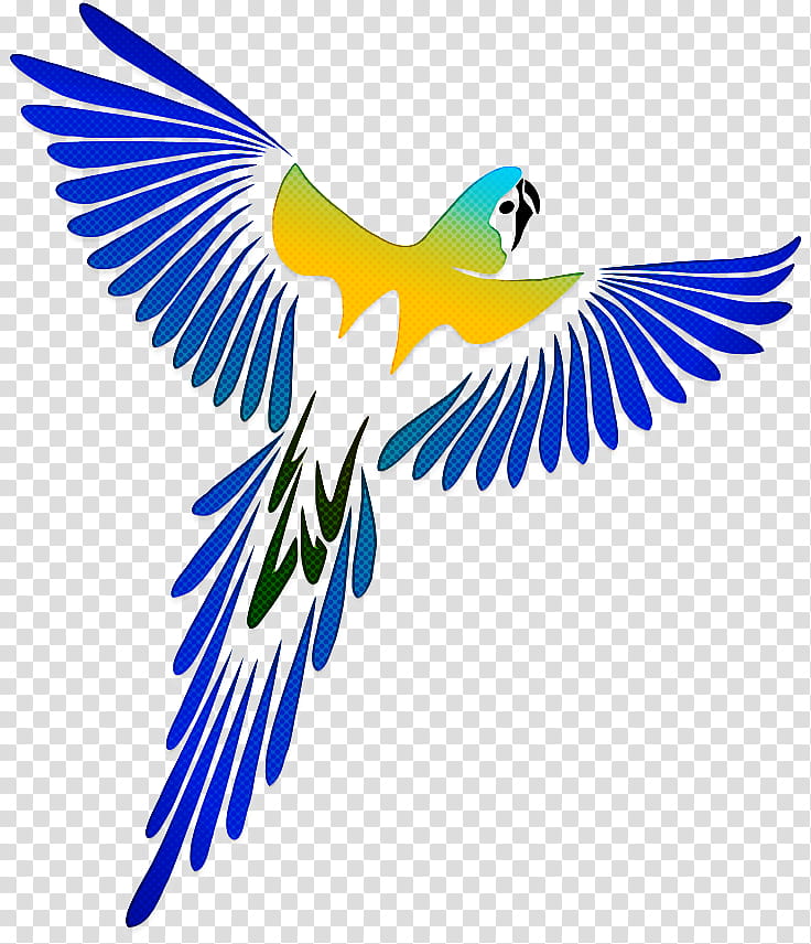 Lovebird, Budgerigar, Macaw, Parrots, Birds, Blueandyellow Macaw, Parakeet, Beak transparent background PNG clipart