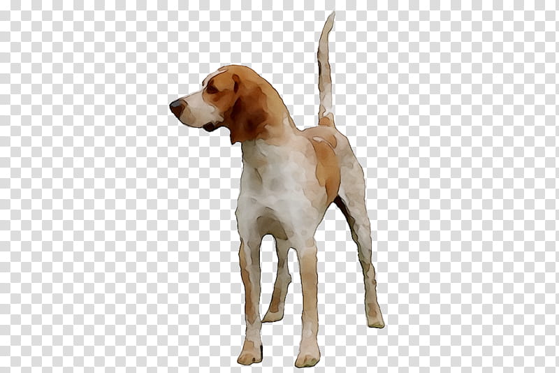 Cartoon Dog, Treeing Walker Coonhound, English Foxhound, American Foxhound, Harrier, Beagleharrier, Estonian Hound, Hunting Dog transparent background PNG clipart