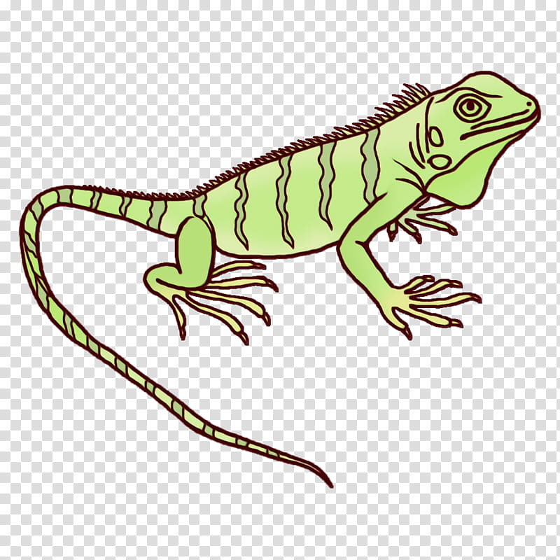 common iguanas amphibians iguanas green iguana character, Watercolor, Paint, Wet Ink, Science, Biology, Character Created By, Reptiles transparent background PNG clipart