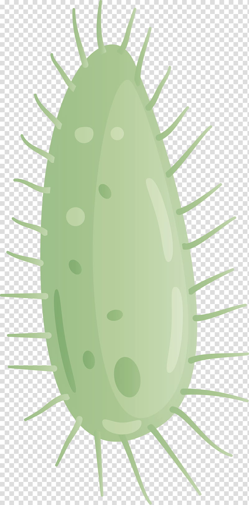 Virus, Plant, Insect, Cucumis, Oval transparent background PNG clipart