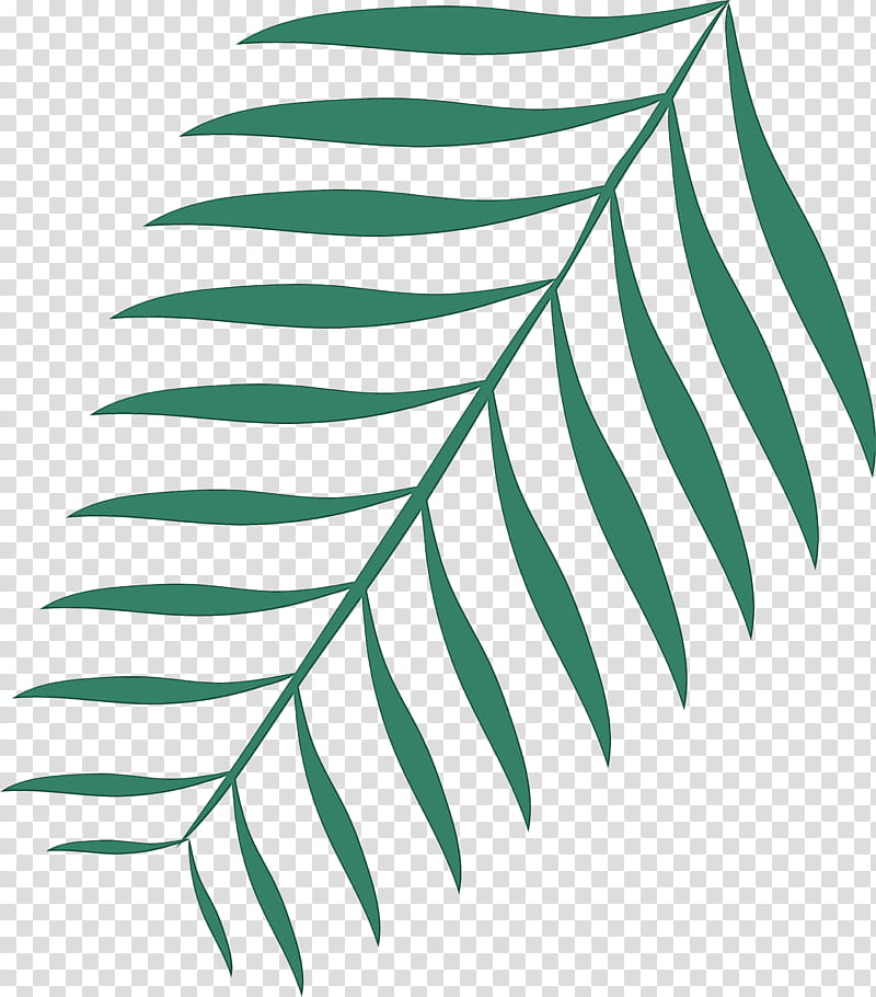 plant stem leaf black & white / m green line, Watercolor, Paint, Wet Ink, Black White M, Meter, Plants, Plant Structure transparent background PNG clipart