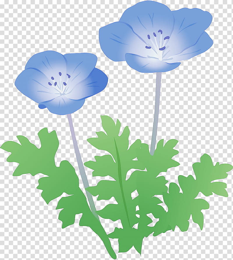flower plant petal poppy family anemone, Baby Blue Eyes, Wildflower, Pedicel, Geranium transparent background PNG clipart