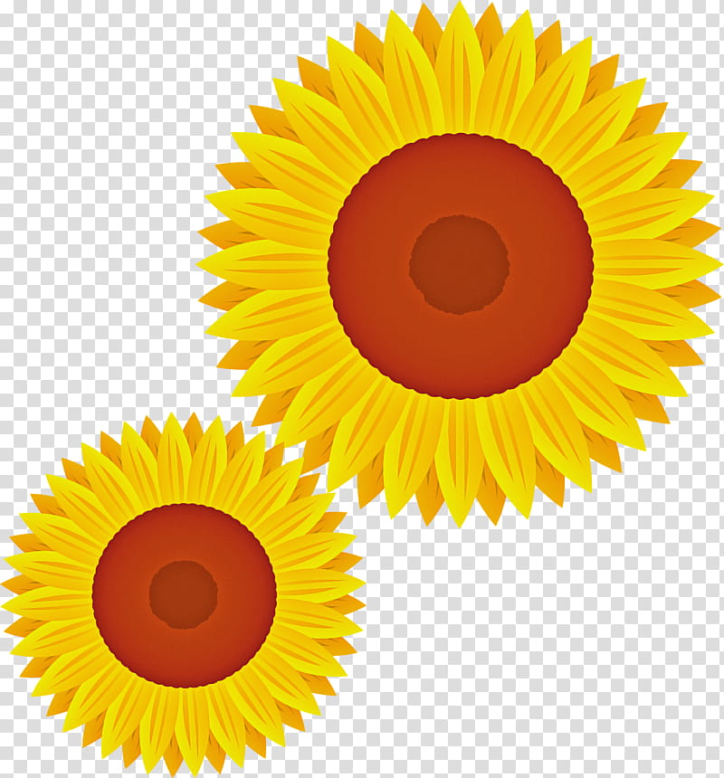 Sunflower, Cartoon, Yellow, Plant, Circle transparent background PNG clipart