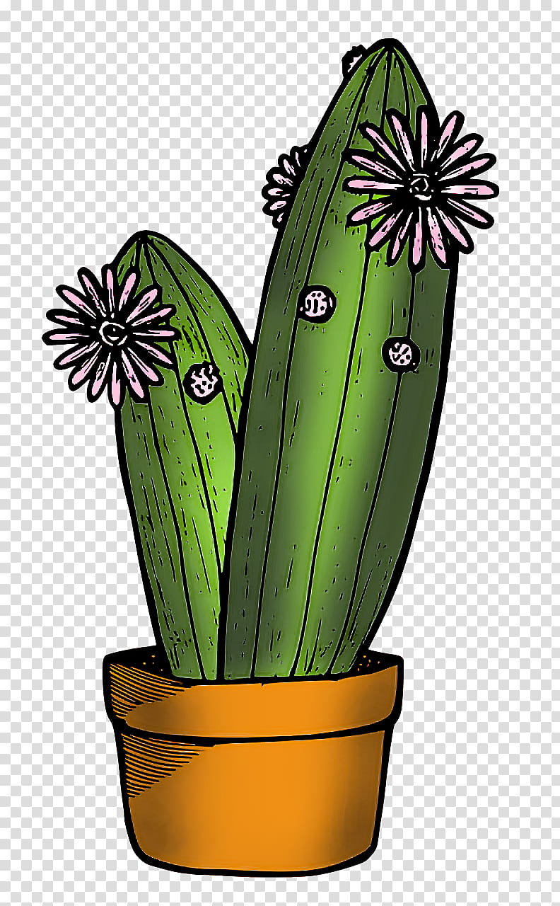 Cactus, Flower, Flowerpot, Strawberry Hedgehog Cactus, Caryophyllales, Echinocereus, Plants, Science transparent background PNG clipart