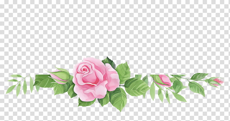Floral design, Garden Roses, Rose Family, Cabbage Rose, Flower Bouquet, Cut Flowers, Petal, Meter transparent background PNG clipart