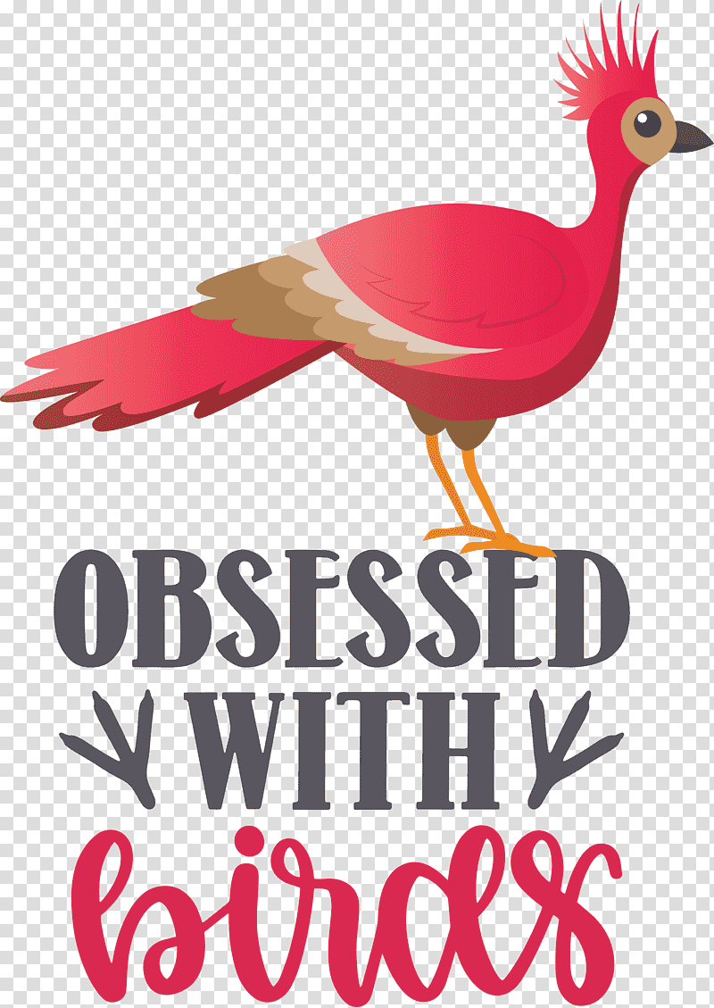 Obsessed With Birds Bird Birds Quote, Logo, Beak, Meter, Science, Biology transparent background PNG clipart