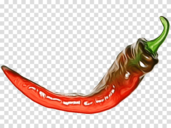 serrano pepper cayenne pepper pasilla chili pepper vegetable, Watercolor, Paint, Wet Ink, Ingredient transparent background PNG clipart