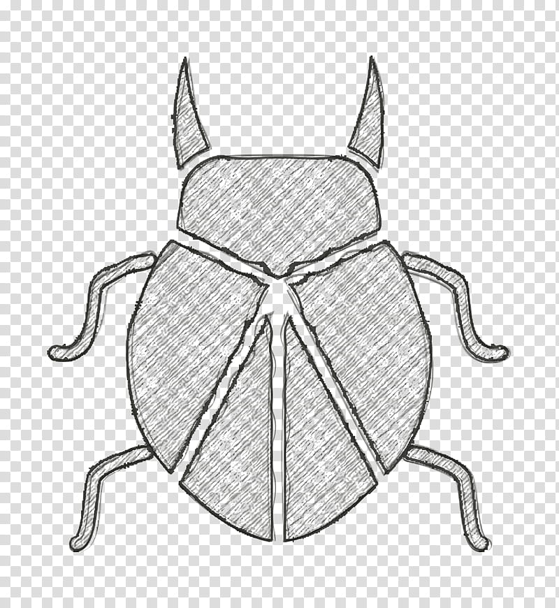 Insects icon Bug icon Beetle icon, Drawing, Symmetry, Ground Beetle transparent background PNG clipart