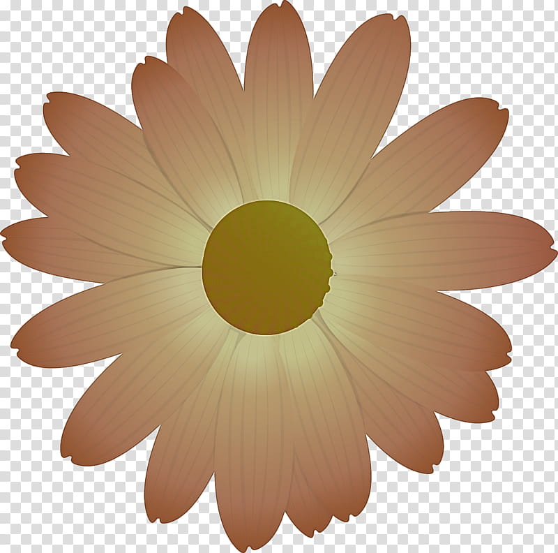 marguerite flower spring flower, Gerbera, Petal, Chamomile, Yellow, Daisy, Mayweed, Camomile transparent background PNG clipart