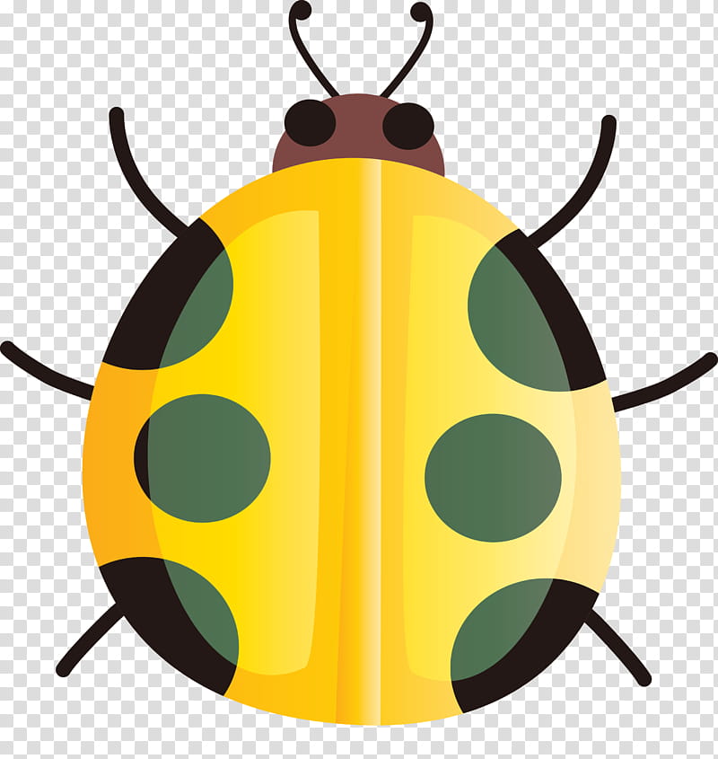 insect yellow jewel bugs pest leaf beetle, Watercolor Ladybug transparent background PNG clipart