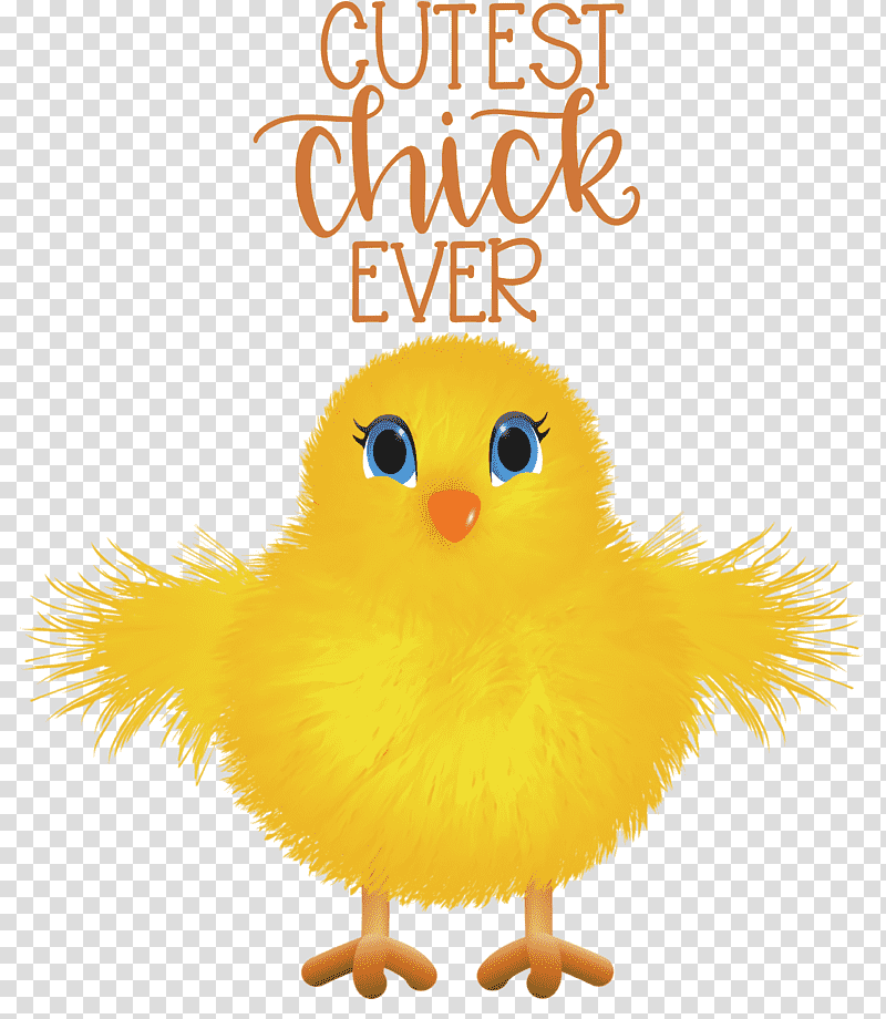 Happy Easter Cutest Chick Ever, Landfowl, Ducks, Chicken, Birds, Beak, Water Bird transparent background PNG clipart