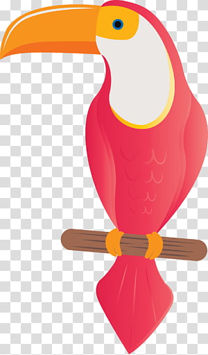 beak transparent background PNG clipart thumbnail
