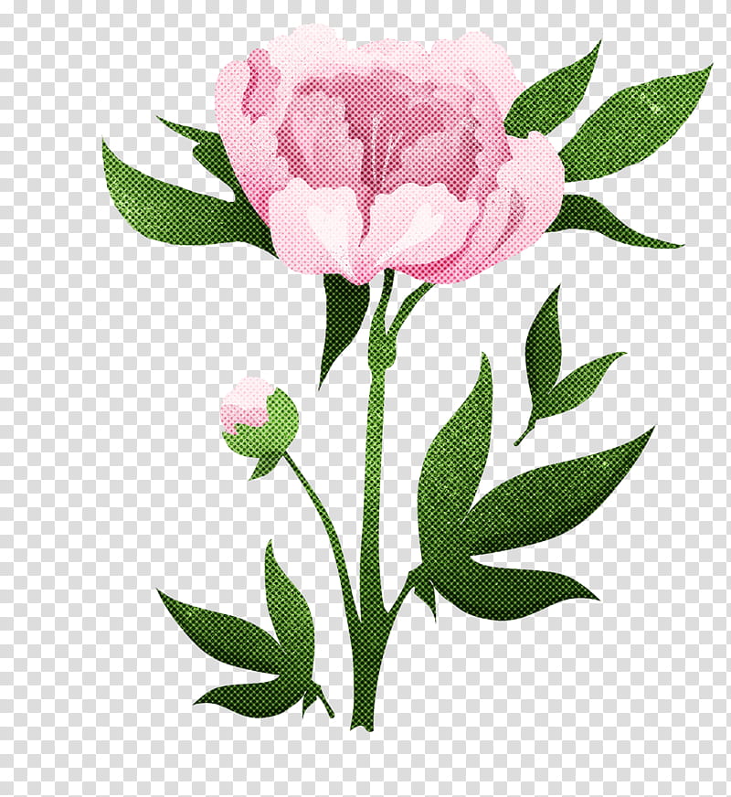 Floral design, Cabbage Rose, Flower, Cut Flowers, Garden Roses, Petal, Peony, Watermark transparent background PNG clipart