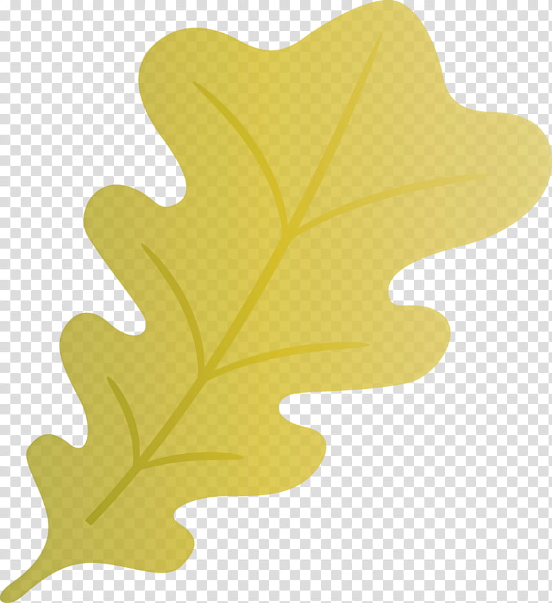 oak leaf, Tree, Petal, Flower, Yellow, Meter, Almond, Heart transparent background PNG clipart