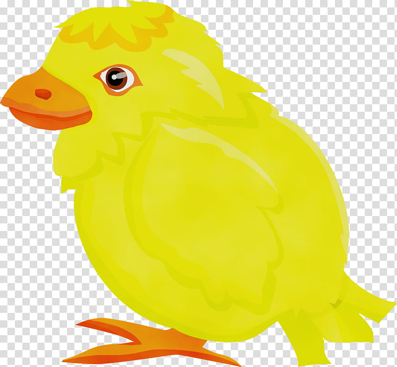 bird yellow beak ducks, geese and swans chicken, Baby Chicken, Watercolor, Paint, Wet Ink, Ducks Geese And Swans, Water Bird, Bath Toy transparent background PNG clipart