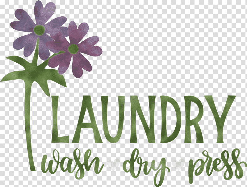 Laundry Wash Dry, Press, Cut Flowers, Floral Design, Petal, Text, Plants transparent background PNG clipart